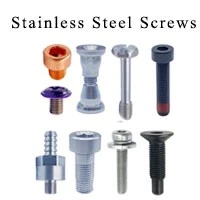 Stainless Steel Screws